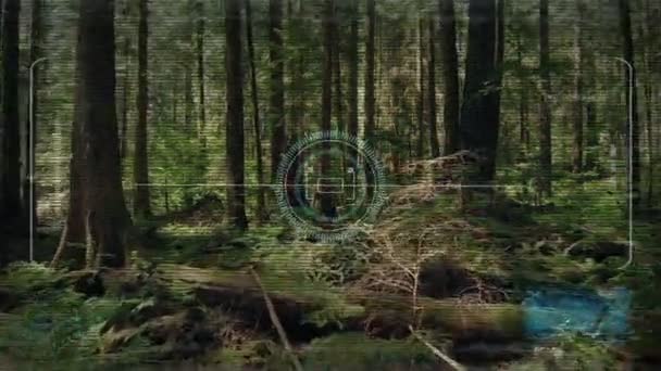 Drone Hud Display Flying Forest — Stock Video