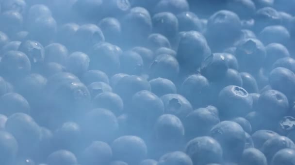 Ледяной Пар Над Замерзшими Голубыми Ягодами — стоковое видео