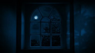 Ay ışığı gölgeler duvar camdan içeri atmalarını.