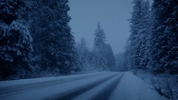 Vägen Genom Snöiga Park Skymningen — Stockvideo