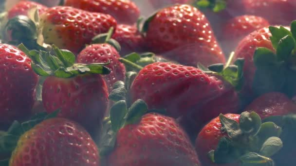 Gekühlte Erdbeerhaufen Mit Eisigem Dampf — Stockvideo