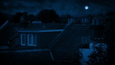 Rooftops geceleri esintiyle hareketli ağaçları ile