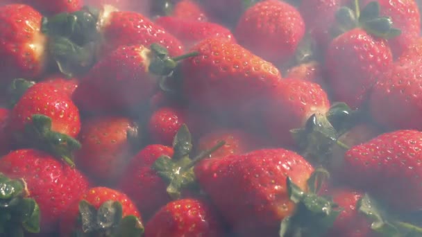 Montón Fresas Refrigeradas Con Vapor Frío — Vídeos de Stock