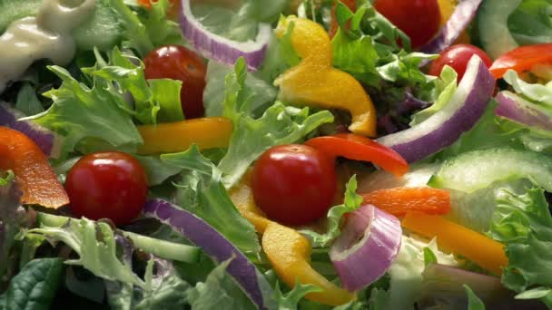 Saus Giet Kleurrijke Salade Schotel — Stockvideo