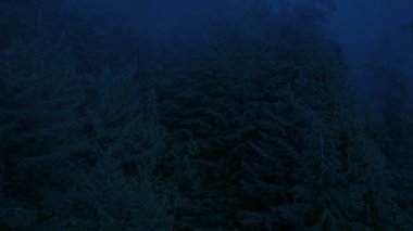 Konak yapı ay ışığında