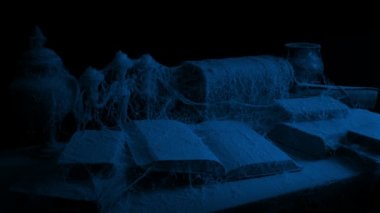 Antik Dusty kitap gece aldı