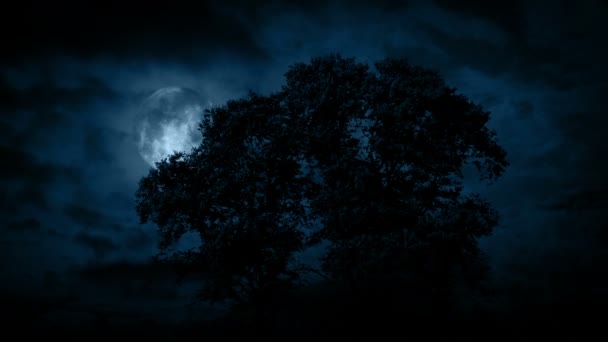 Luna Detrás Árbol Grande Con Nubes Aterradoras Moviéndose — Vídeo de stock