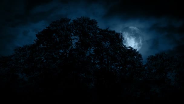 Lua Cheia Assustadora Sobre Floresta — Vídeo de Stock