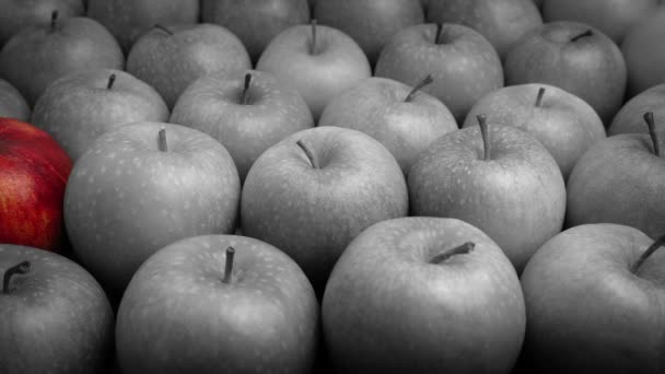 Manzana Roja Destaca Concepto Pensamiento Fresco — Vídeo de stock