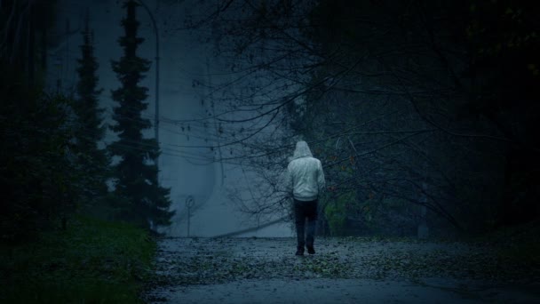 Άνθρωπος Περπατάει Στο Σκοτεινό Τοπίο Θλίψη Αντίληψη Απομόνωσης — Αρχείο Βίντεο