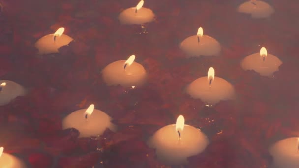 Steamy Luxury Bath Flowers Candles — Wideo stockowe