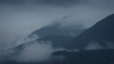 Orman Dağları Timelapse Üzerinde Dönen Sis