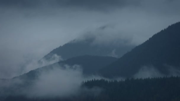 森の山々の上に渦巻く霧のタイムラプス — ストック動画