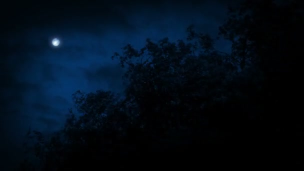 夜の激しい嵐の木の頂上 — ストック動画