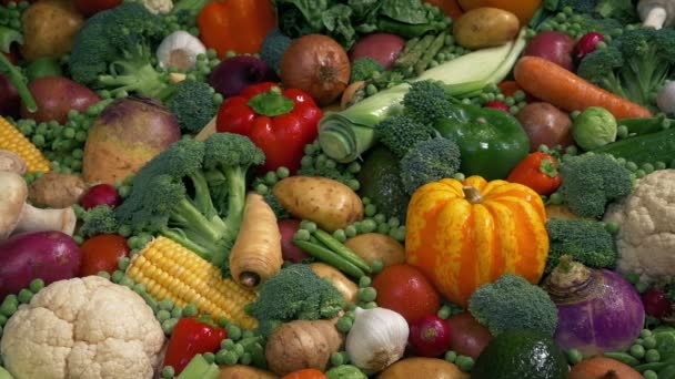 Свежие Влажные Овощи Красочном Дисплее — стоковое видео