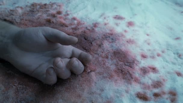 雪上的血臂 — 图库视频影像