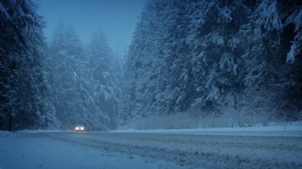 Automobili Nella Foresta Innevata Sera — Video Stock