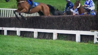 Atlar Yarış Pistinde Çitin Üzerinden Atlıyor