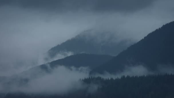 雲と霧の山の荒野 — ストック動画