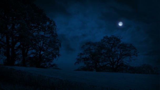 Поле Деревья Облаками Проходящими Ночью — стоковое видео