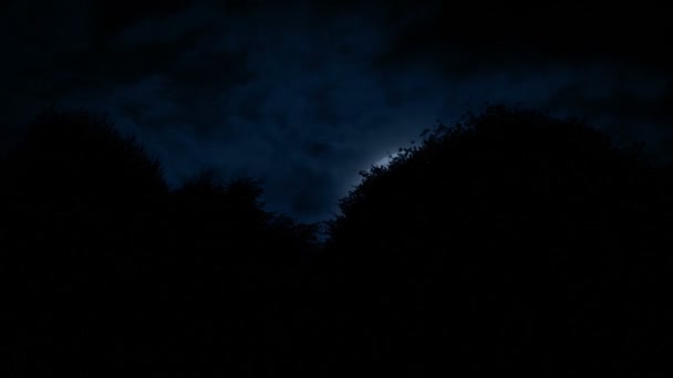 Luna Răsare Din Spatele Copacilor — Videoclip de stoc