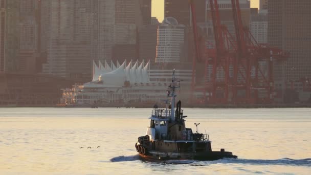 日出时在港口的船 — 图库视频影像