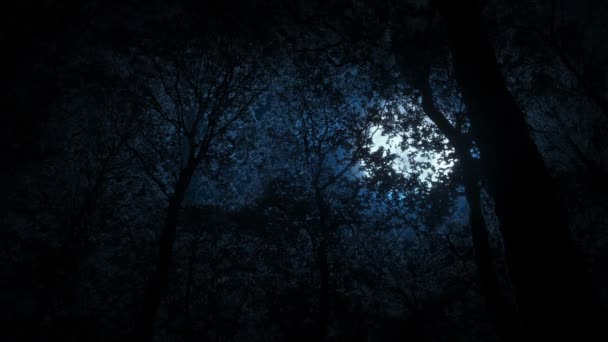 Moon Dense Forest Trees — Stock Video