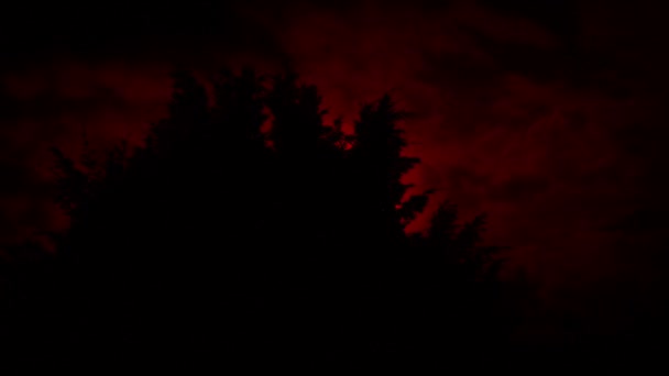 Strašidelný Rudý Měsíc Stoupá Stromy — Stock video