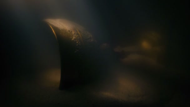 Ancient Gold Cup Treasure Sun Rays Underwater — Stok Video