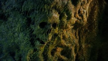 Sümüklü Mağara Duvarında İnsan Kafatası