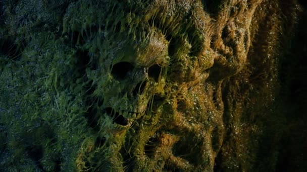 Human Skull Slimy Cave Wall — Stock Video