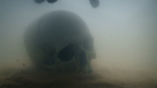 ダイバーは海底から頭蓋骨を拾う — ストック動画