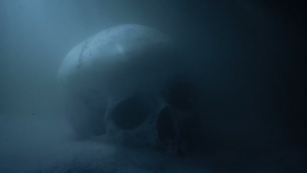 L'homme ramasse le crâne du lit de la rivière 