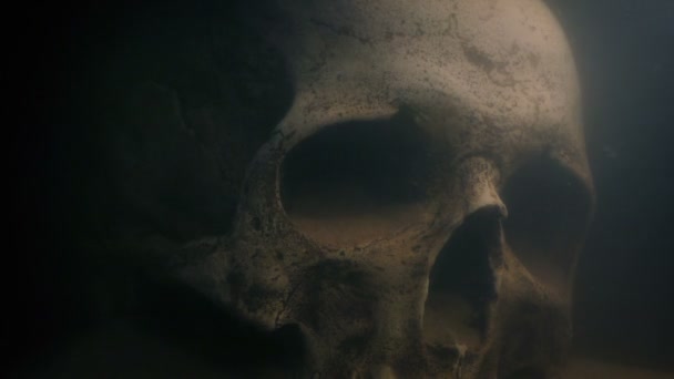 きらめく光の中で水の下の古い人間の頭蓋骨 — ストック動画