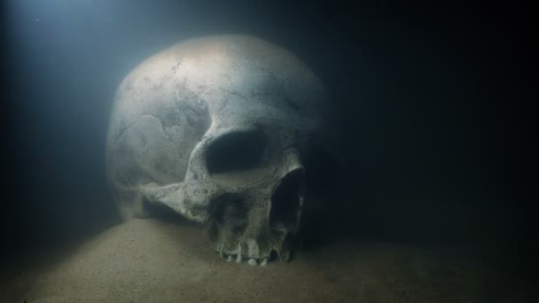 Skull Underwater Shimmering Light — Stock Video