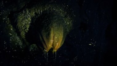Meşale Slime Damlama Üzerinde Alien Yumurta Kadar Işıklar - 2 Shots