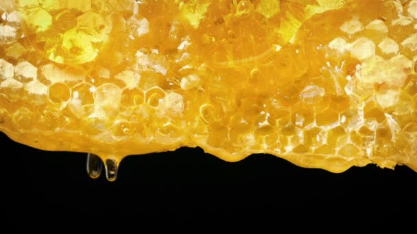 Dużo Miodu Bieganie Dół Honeycomb — Wideo stockowe