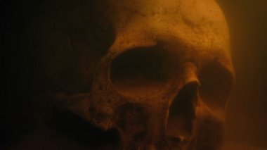 Kafatası sualtı çekim shot