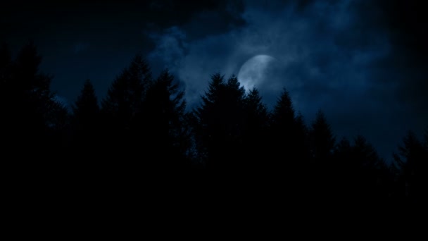 木々の上に明らかにされた満月 — ストック動画