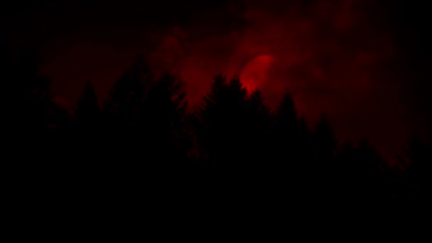 Ijesztő Red Moon Revealed Felett Forest — Stock videók