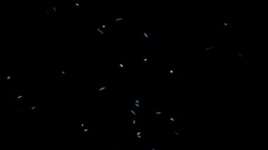 Böcekler Siyah Etrafında Uçan