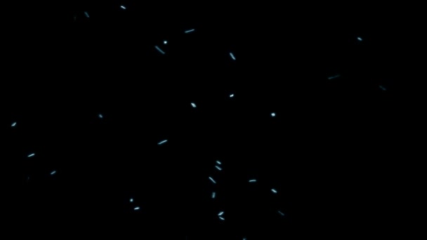 Insects Flying Black — Stock Video