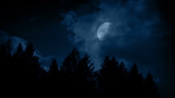 Großer Vollmond Über Dem Wald — Stockvideo