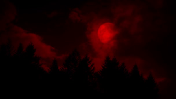 森の上の血の赤い月 — ストック動画