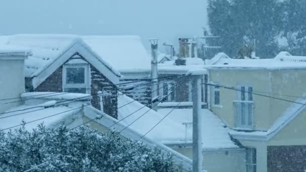 吹雪の中の家と木々 — ストック動画