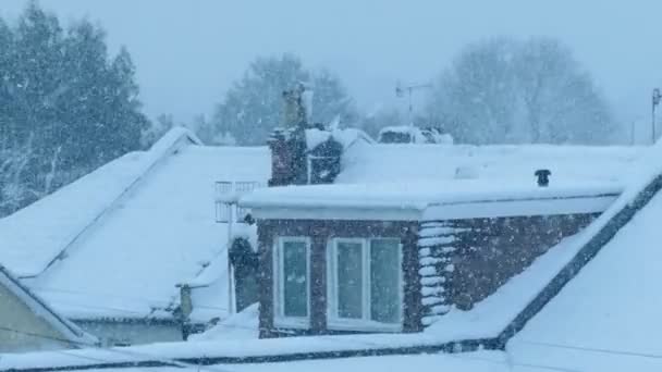 Roofs Covered Snow Blizzard — Stock Video