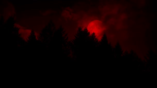 Straszny Czerwony Księżyc Nad Drzewami — Wideo stockowe