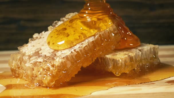 ハニカムスライスに注ぐ蜂蜜 — ストック動画