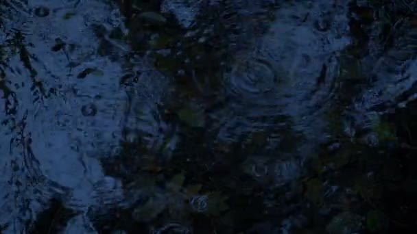 雨溅池在晚上 — 图库视频影像