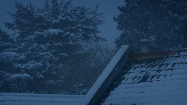 Günün Geç Saatlerinde Karlı Çatı — Stok video